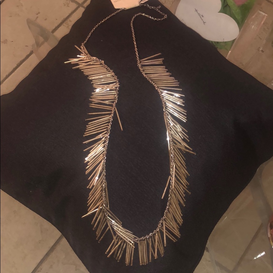 Beautiful Long Lucite Necklace 38$